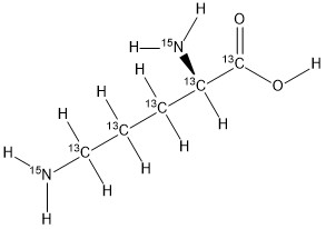 L-Ornithine-[13C5,15N2] Hydrochloride